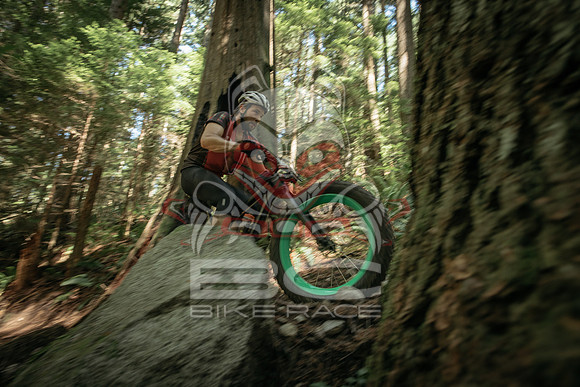 BCBR 2018-MR-1984