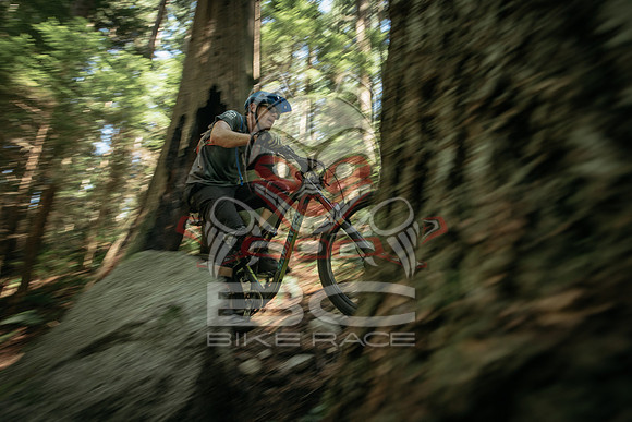 BCBR 2018-MR-1992