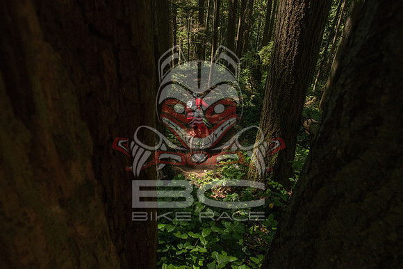 BCBR 2018-MR-2249