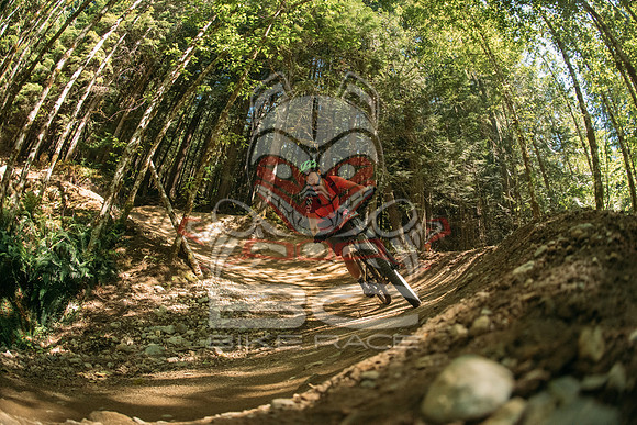 BCBR 2018-MR-2978