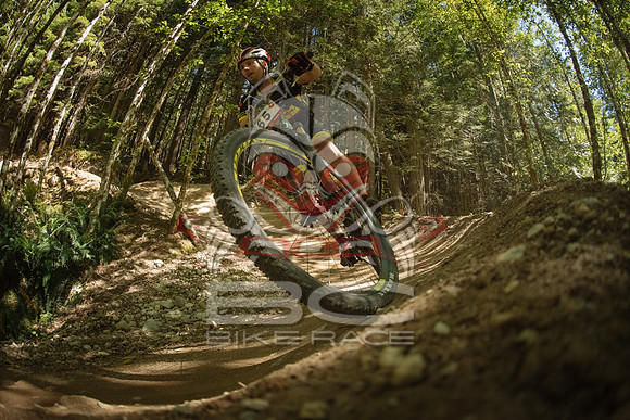 BCBR 2018-MR-2995