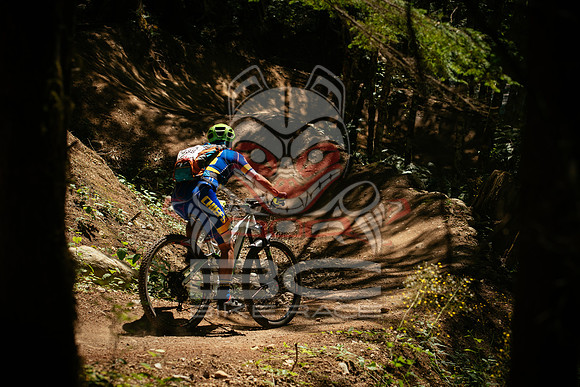 BCBR 2018-MR-3135