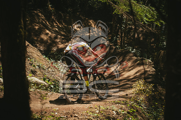 BCBR 2018-MR-3137