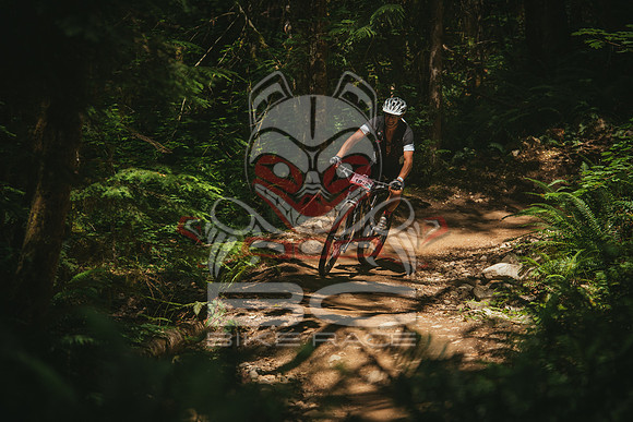 BCBR 2018-MR-3290