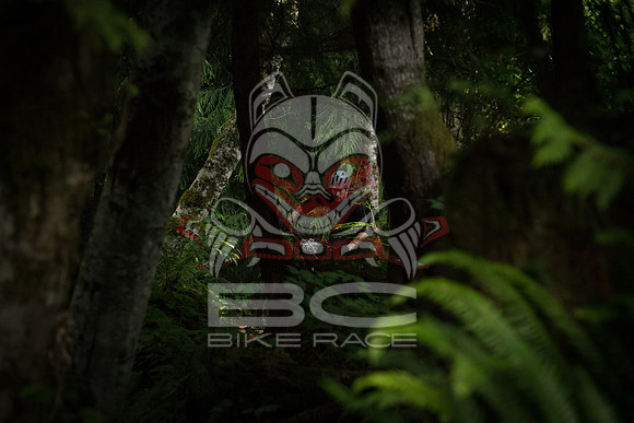 BCBR 2018-MR-7685