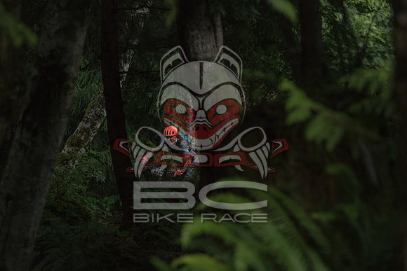 BCBR 2018-MR-7690