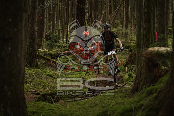 BCBR 2018-MR-8950