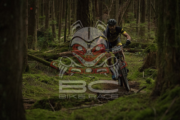 BCBR 2018-MR-8981