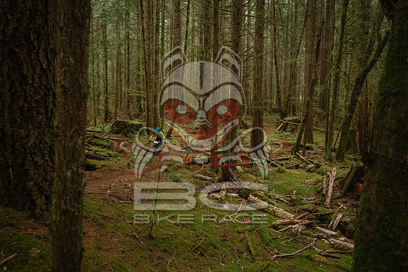 BCBR 2018-MR-9005