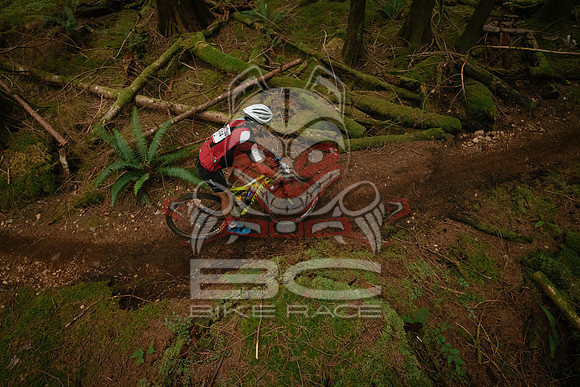 BCBR 2018-MR-9085