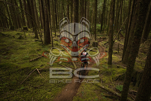 BCBR 2018-MR-9195