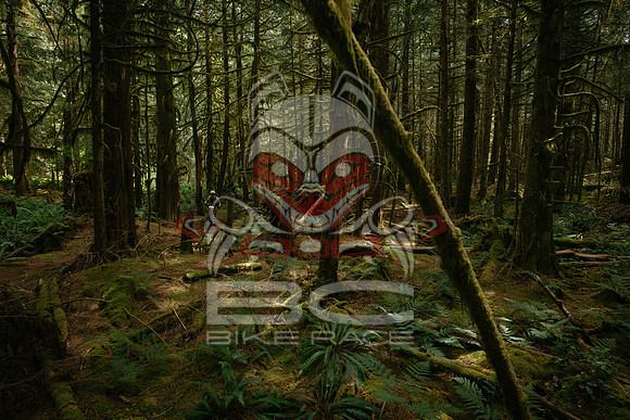 BCBR 2018-MR-9320