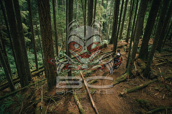 BCBR 2018-MR-9386