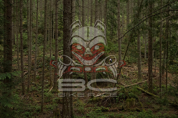 BCBR 2018-MR-7035