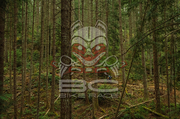 BCBR 2018-MR-7042