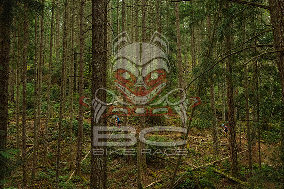 BCBR 2018-MR-7048