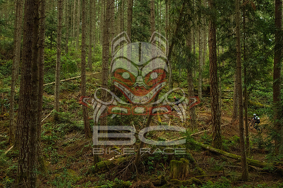 BCBR 2018-MR-7049