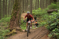 BCBR25_3_0112_DS