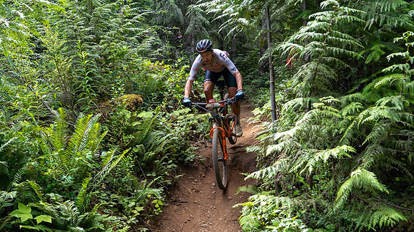 Petri Day7_DSC5018 Large