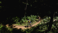 BCBR25_2_0008_DS