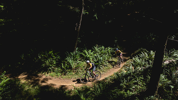BCBR25_2_0008_DS