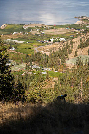 bcbr-stenberg-print-CKS02504