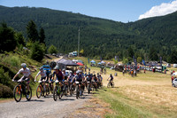 BCBR25_1_0378_DS