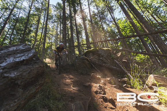 BCBR2024_Day3_JK-03940