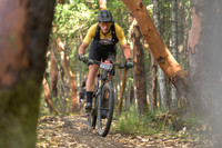 BCBR25_4_0395_DS