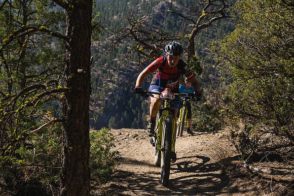 BCBR21_2_0103_DS