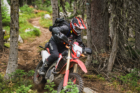 BCBR21_3_0101_DS