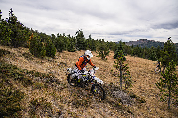 BCBR21_3_0070_DS