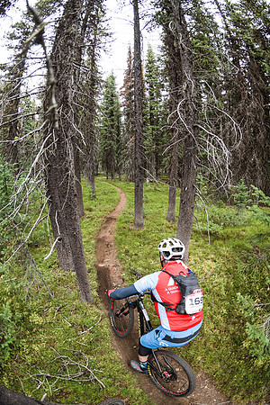 BCBR21_3_0243_DS