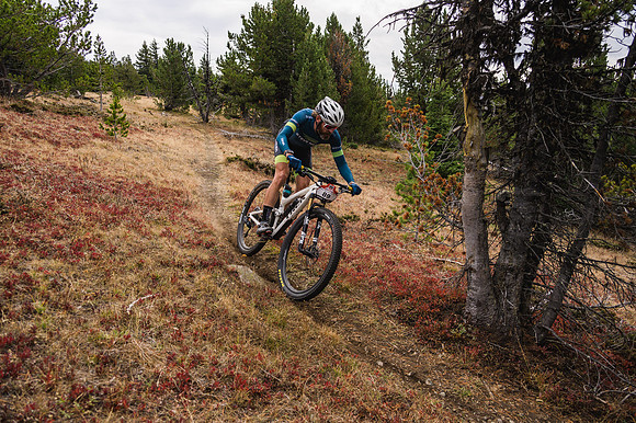 BCBR21_3_0092_DS