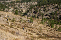 BCBR21_5_0080_DS