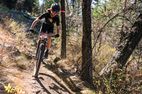 BCBR21_4_0479_DS