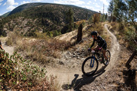 BCBR21_5_0068_DS