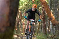 BCBR25_4_0078_DS