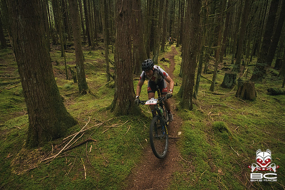 BCBR18_3_0035_MR