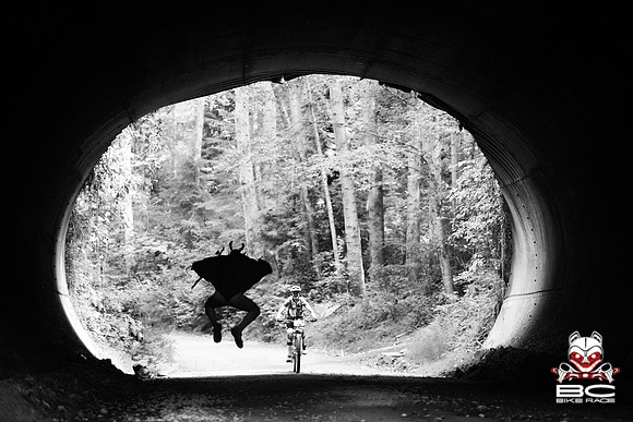 BCBR18_3_0088_MR
