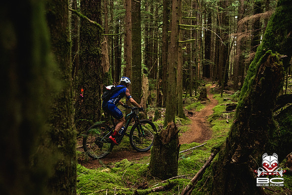 BCBR18_3_0313_DS