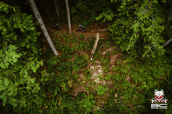 BCBR18_3_0498_DS