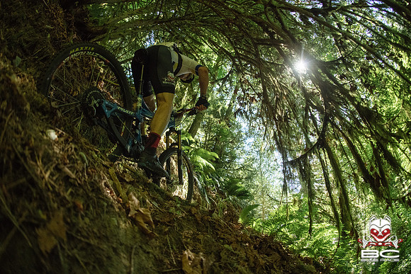 BCBR18_5_0065_MR