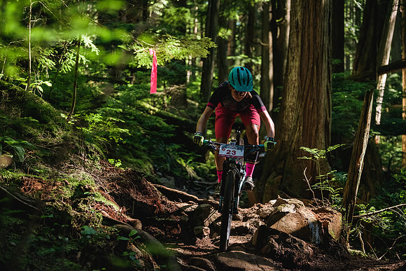 BCBR18_6_0172_DS