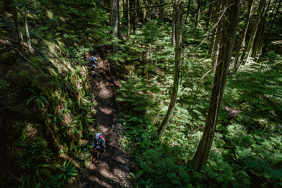 BCBR18_6_0278_DS