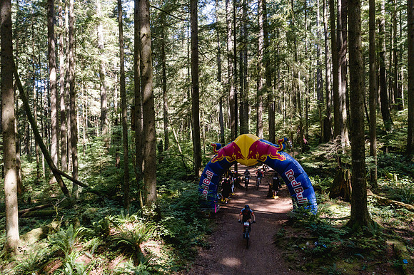BCBR18_6_0357_DS