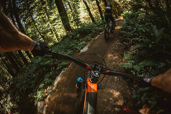 BCBR18_6_0049_MR
