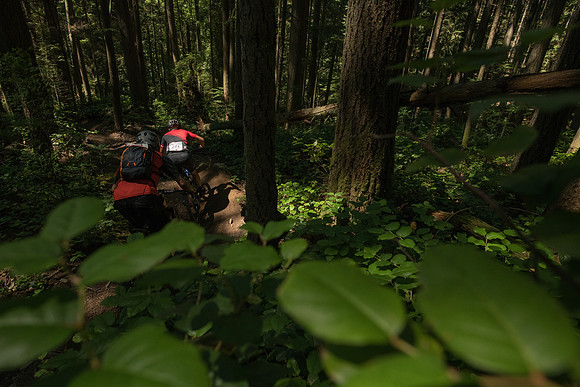 BCBR18_6_0053_MR