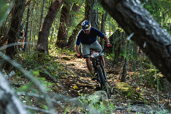 BCBR19_1_0055_DS