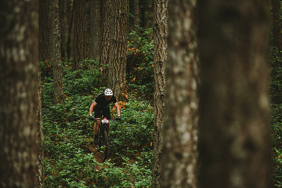 BCBR19_1_0080_MR